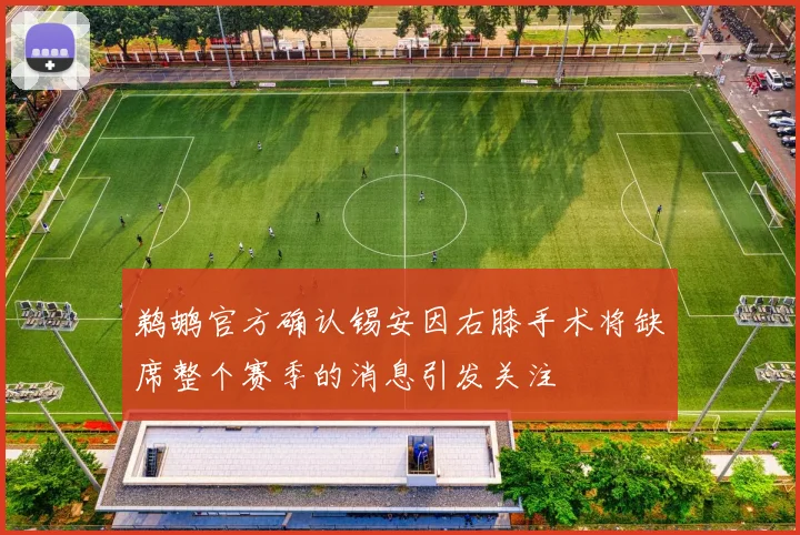 鹈鹕官方确认锡安因右膝手术将缺席整个赛季的消息引发关注