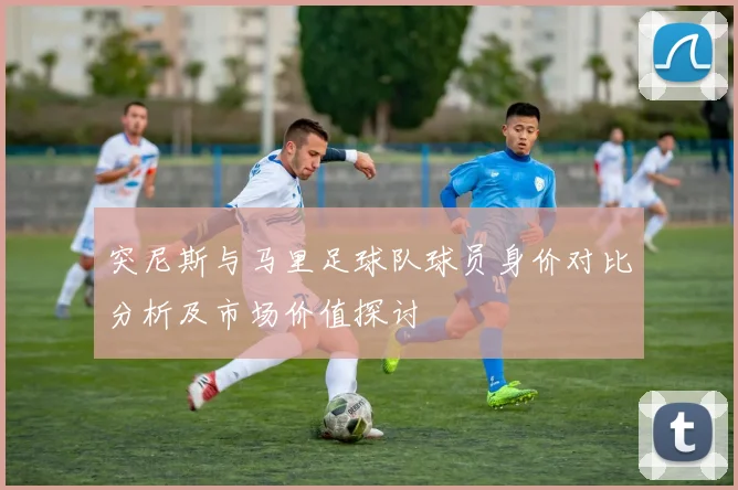 突尼斯与马里足球队球员身价对比分析及市场价值探讨