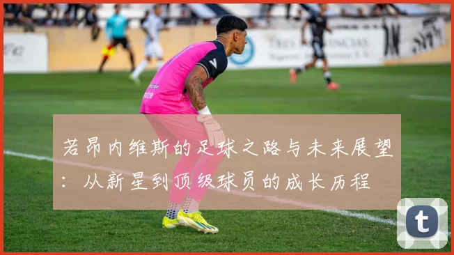 若昂内维斯的足球之路与未来展望：从新星到顶级球员的成长历程