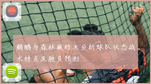 鹈鹕与森林狼对决分析球队状态战术特点及胜负预测